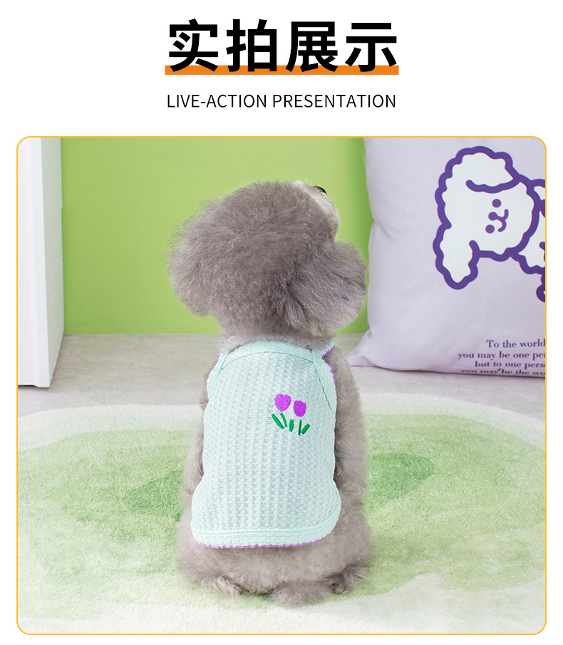 2023花草刺绣吊带