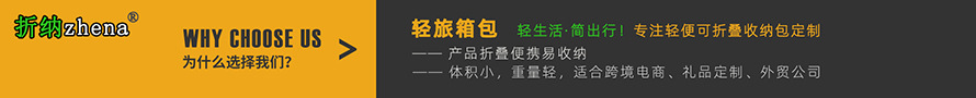 轻旅890