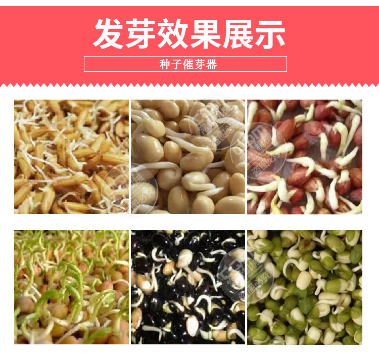 种子催芽器_06.jpg