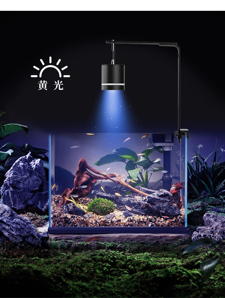 4802a4fa-f627-469a-b07d-136e2f36d765.jpe