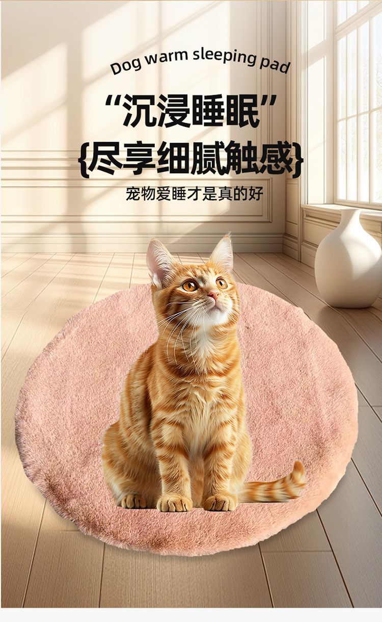 a21675df-2f23-4561-908e-92adb9131f55.jpe