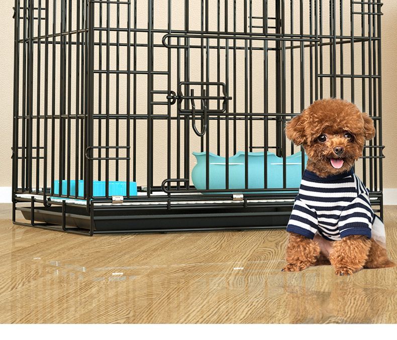 2f643347-7b1b-4a98-ab50-4654bff9371c.jpe