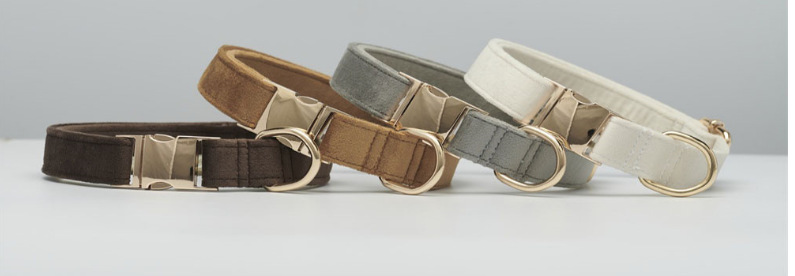 ec07cbc7-5ff2-461a-a542-e6749c