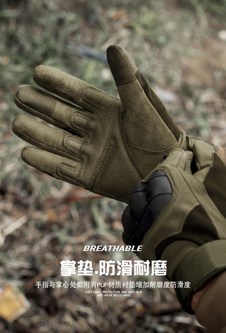F_06.jpg