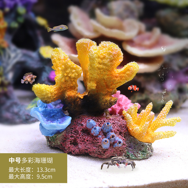 中号多彩海珊瑚