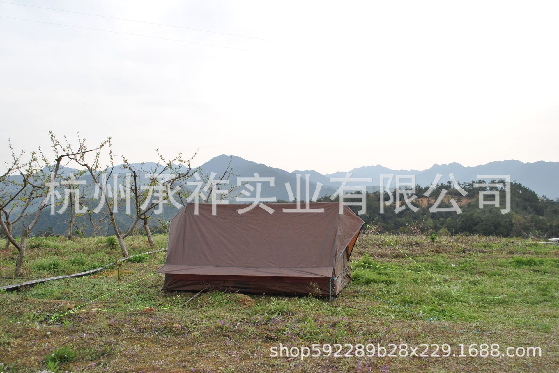 DSC_3663.JPG