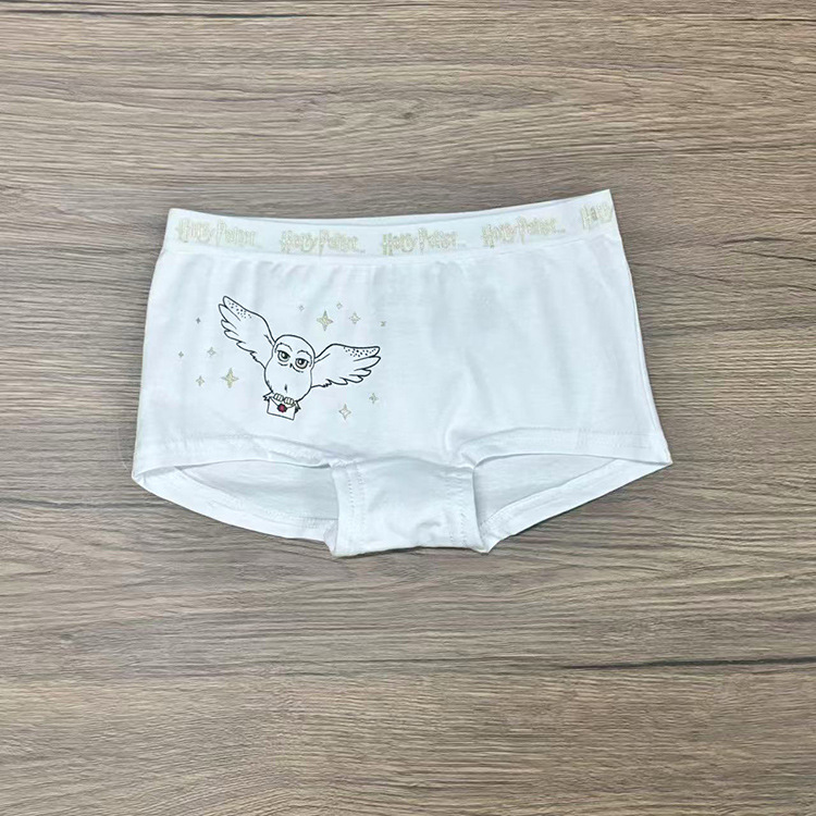 白色猫头鹰.jpg