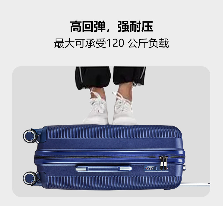 PP_12(3.1).jpg