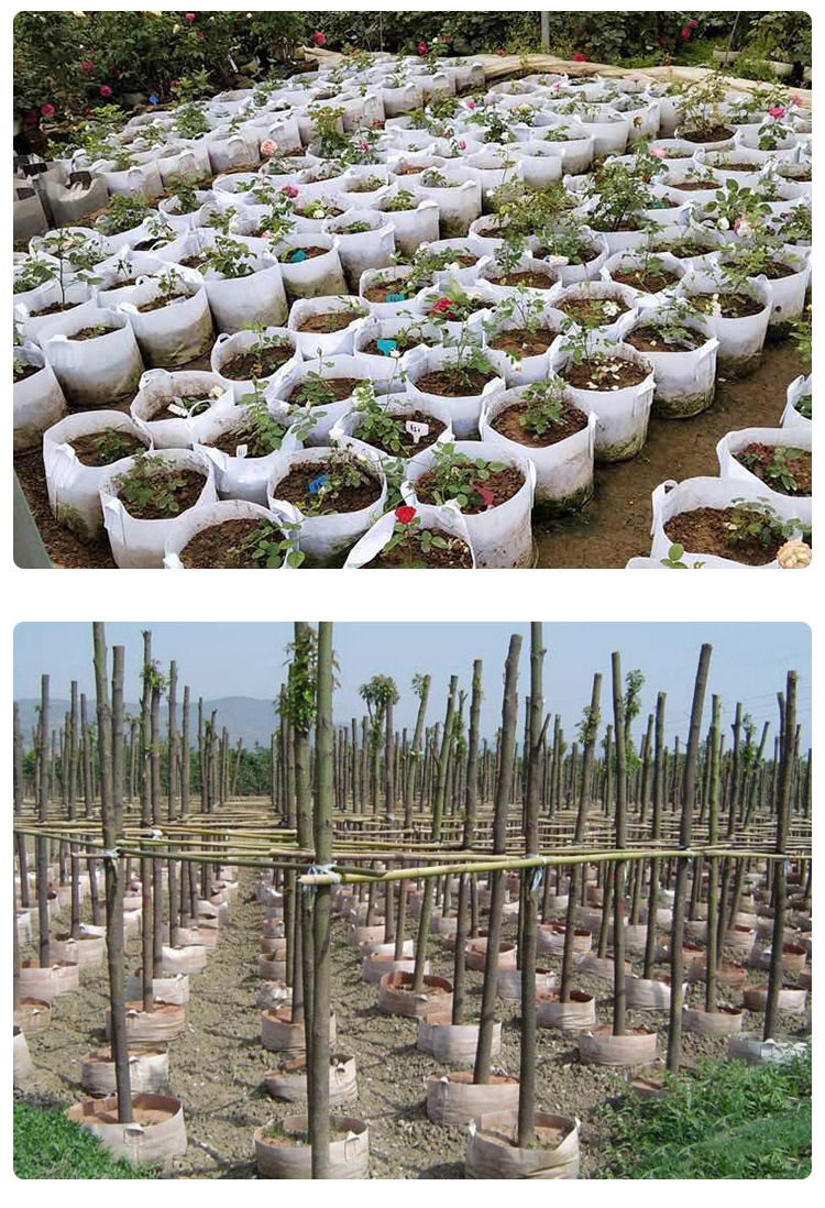 O1CN01LKrxn21JBv5km8bZn_!!9194