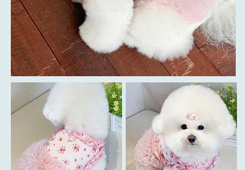 1009.jpg?x-oss-process=image/format,png