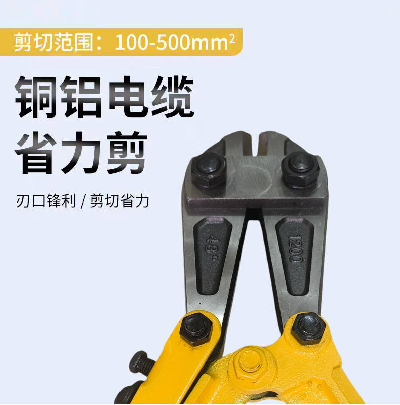 微信图片_20250328111629.jpg