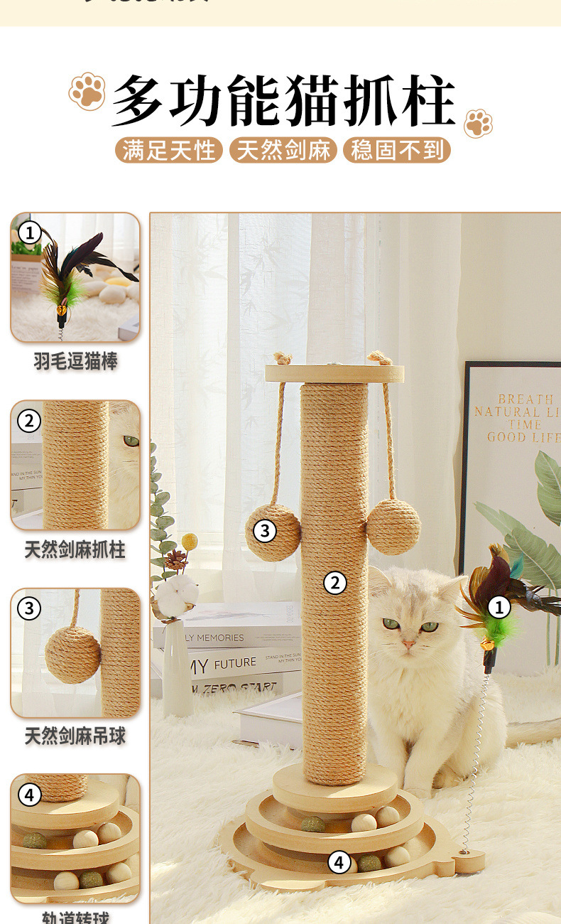 efcd6cc0-d7d1-459d-88df-a03052f45077.jpe