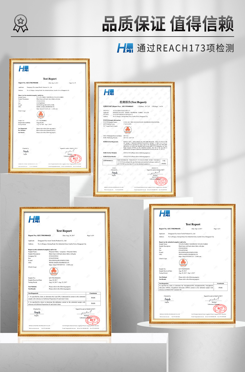 REACH检测报告展示