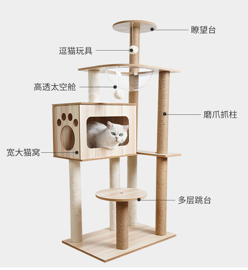 69123245-14b5-48b2-8dfa-8bf5b8b3306c.jpe