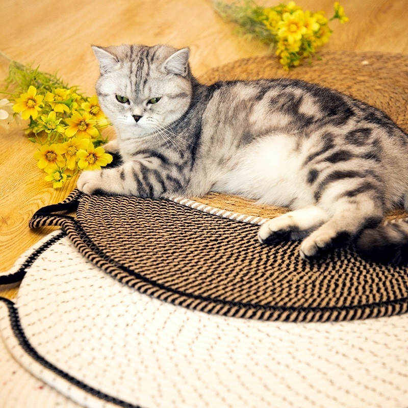 bca9de0b-418d-4aa0-b6d7-b4f01ad8f28c.jpe