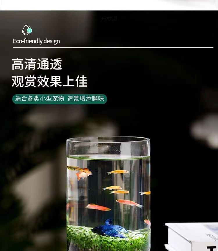 76e9fb48-e7db-488a-ab81-d42976bbc957.jpe