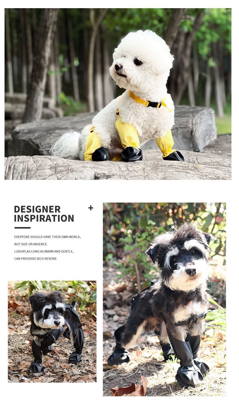 bd09715e-7516-41d1-8448-94727fa5b51c.jpe