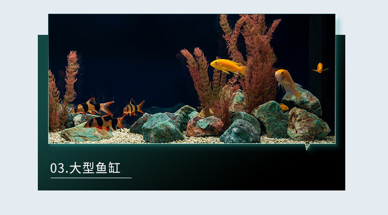 731dd294-1e26-495a-92e2-fe0d94356720.jpe