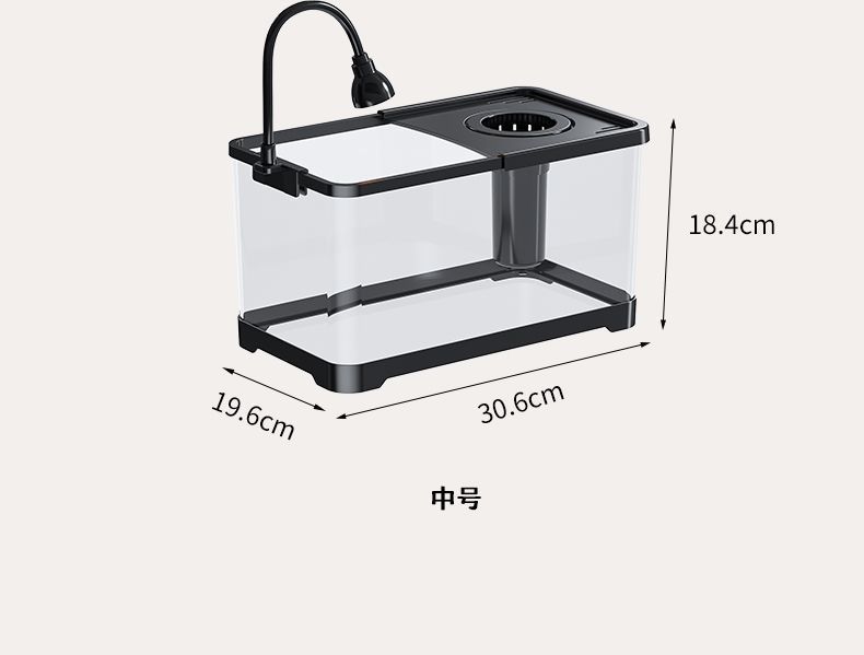 8d481003-5839-4780-9b6b-2bf5046094d7.jpe