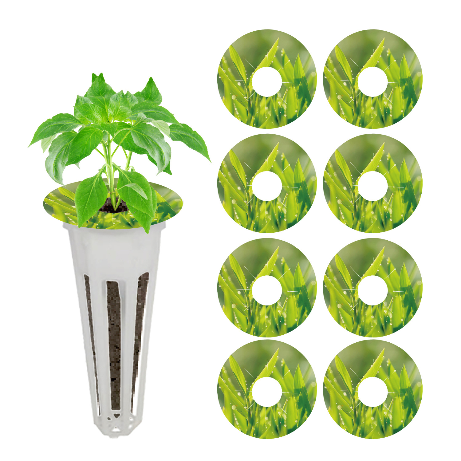 圆形种植篮贴纸主图