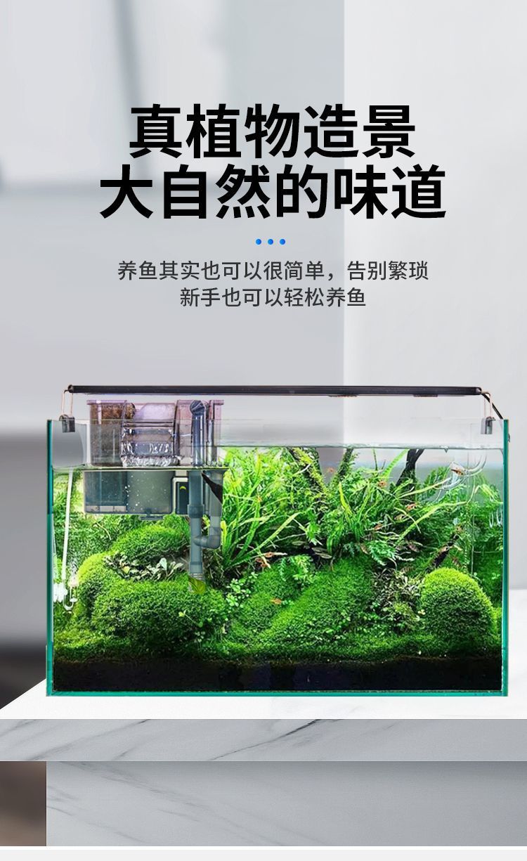 b6f66e88-ce1b-45d7-8b26-a48b2212007f.jpe