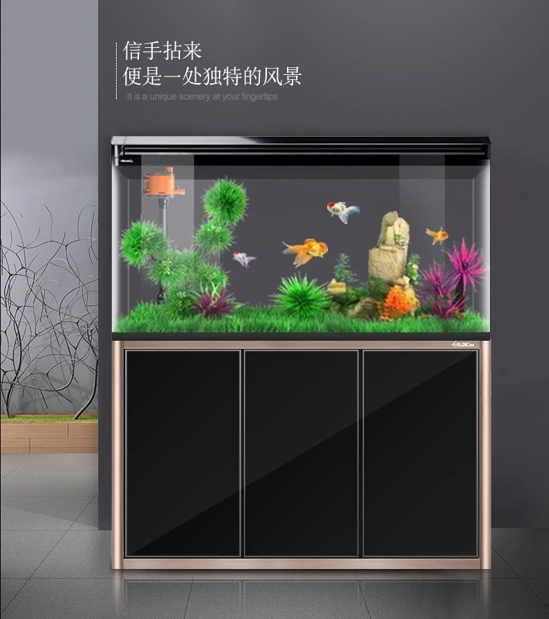 81c26169-c78a-43a2-8513-2c8003899e6b.jpe