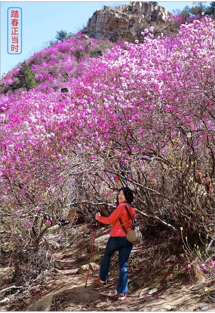 0db0660c-d57f-45e7-8c4a-5f5857082e5b.jpe