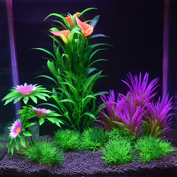 O1CN011E6Nce1KVu5u855FQ_!!1035