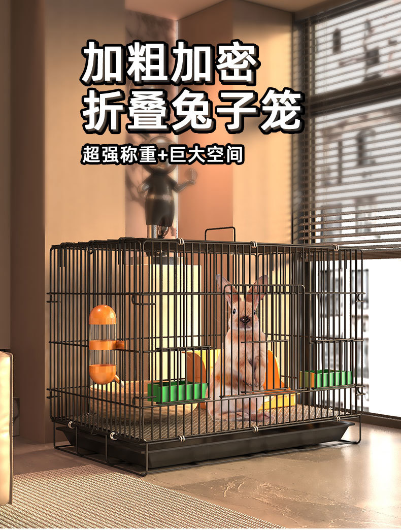 7f731f84-c465-4b53-8c44-fbf64063e1c6.jpe