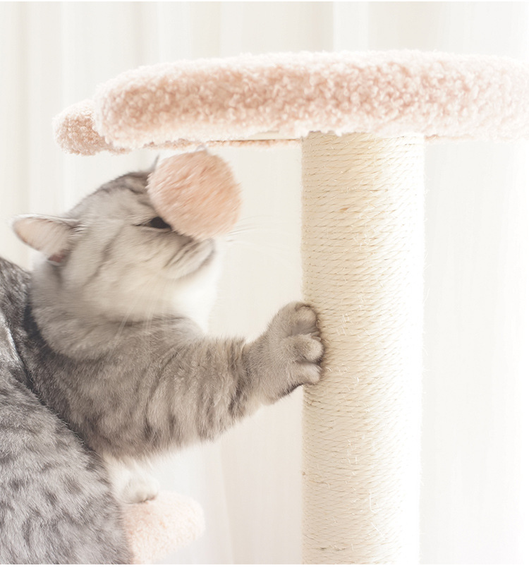 O1CN01QdxU8t21ruSwpWOWc_!!1863