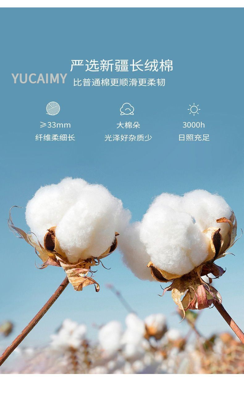 aa6fbe99-e263-48ba-b236-a8772586fd3b.jpe