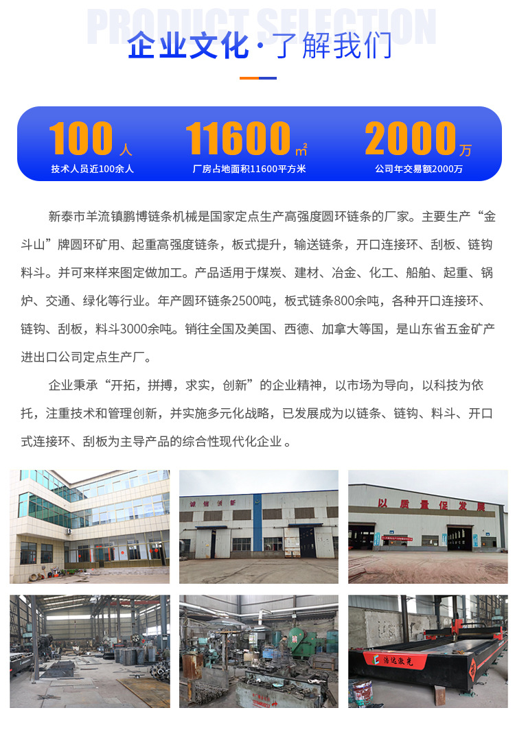 刮板输送机链条 (10).jpg