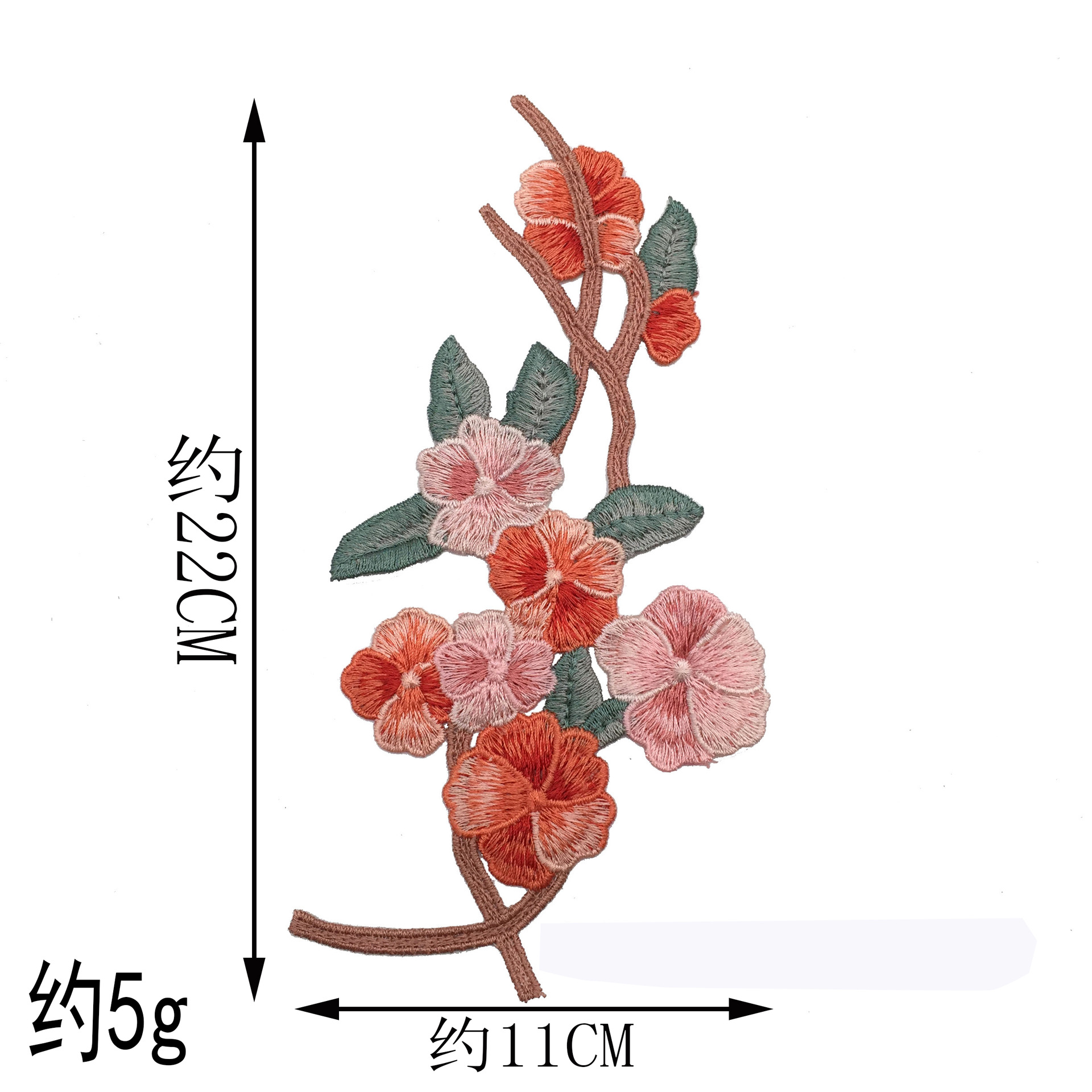IMG_0534