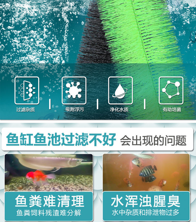 4f33f447-8632-4e12-bc27-6ea55b89407d.jpe