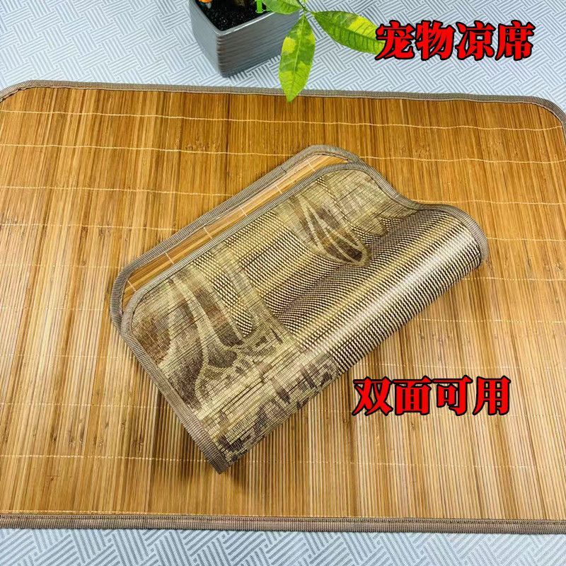 f12fcf9a-e503-4f00-aa10-8d7db8461eb3.jpe