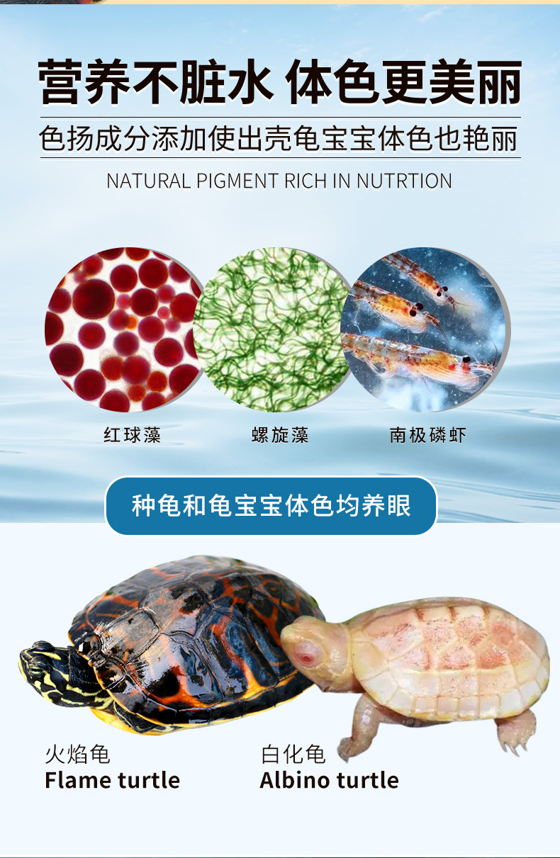 绚甲三色龟粮详情图_09