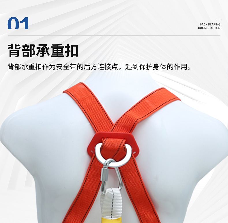 安全带介绍图片5.jpg