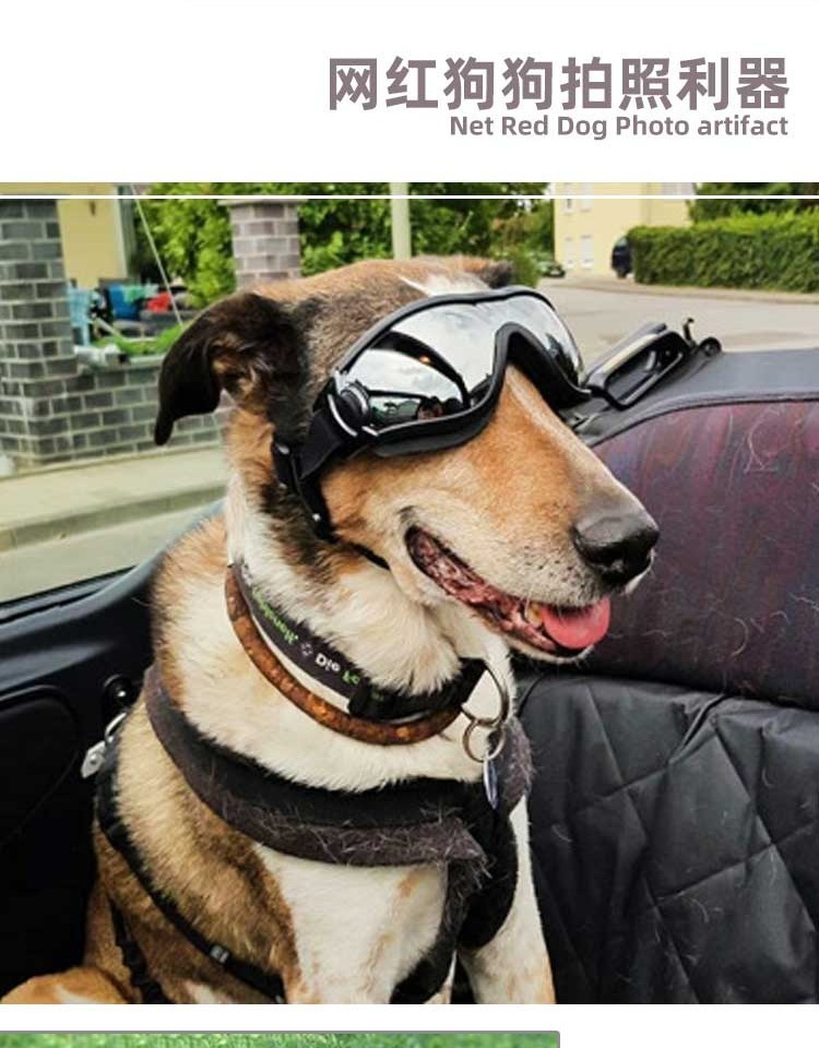 a1d2dfb0-c322-473b-85f0-a7c3f924895b.jpe