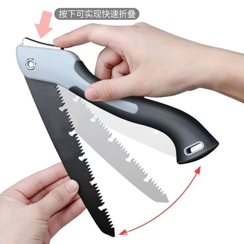 微信图片_202504091514102.jpg