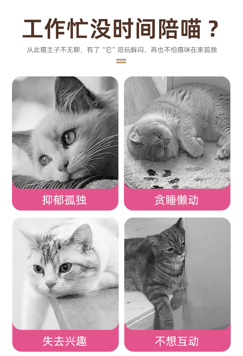 详情新_04