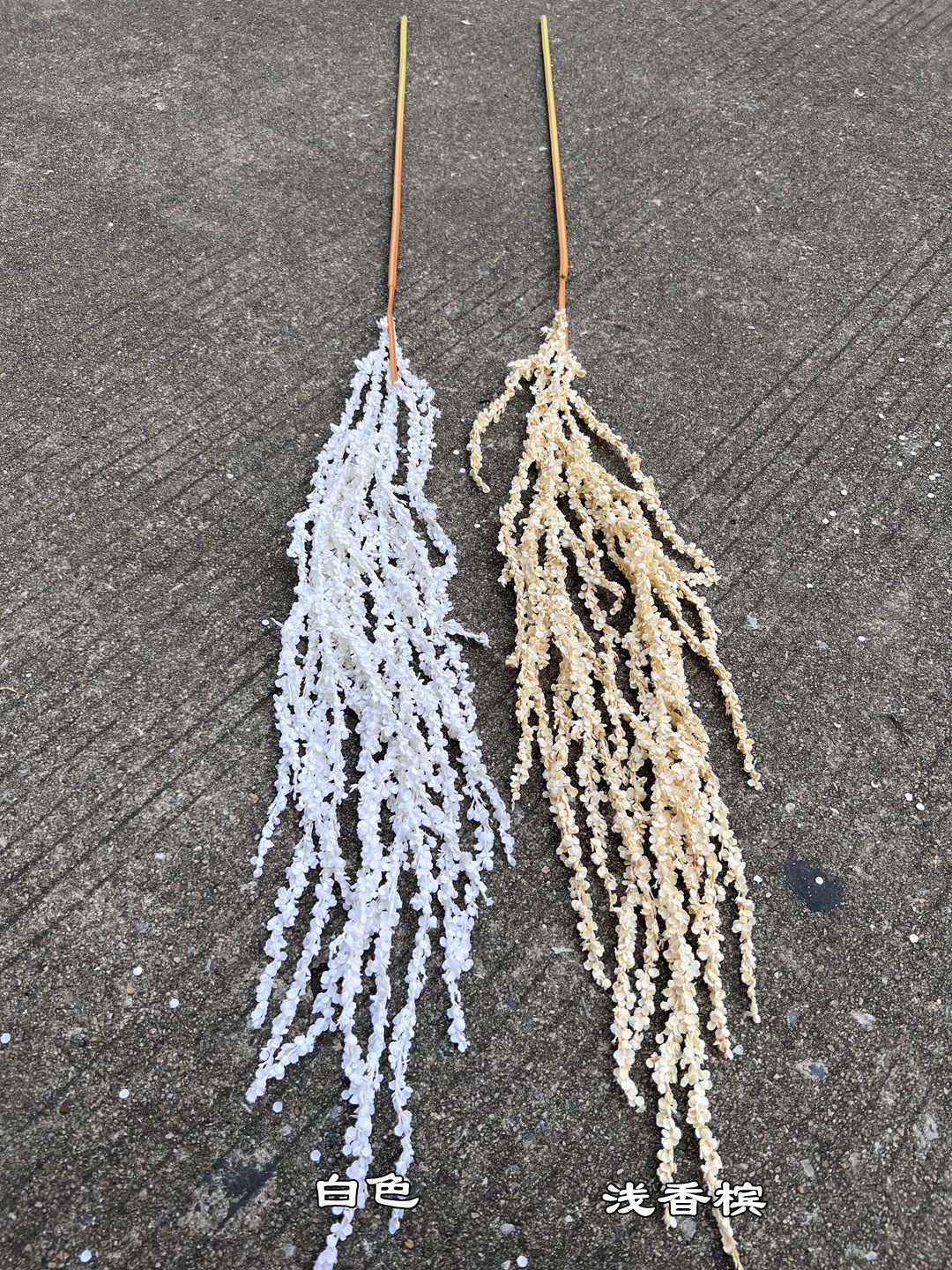 微信图片_20231030195635