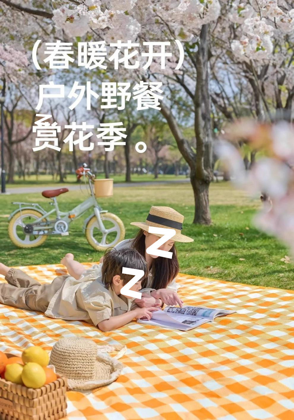 11c8dce2-e987-4e7d-a600-d62f3a292f62.jpe