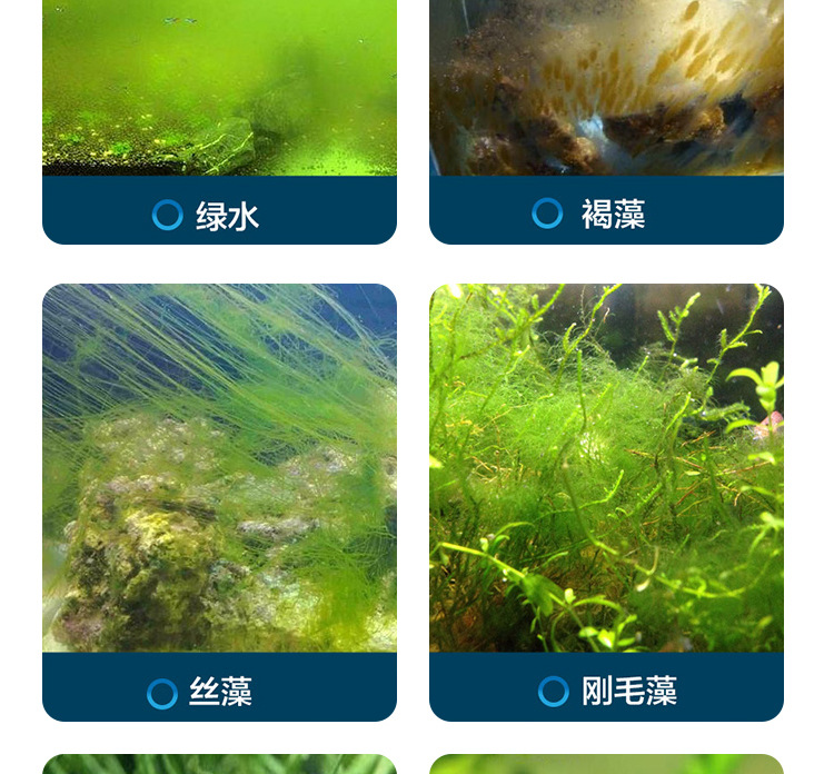 除藻剂_07.jpg
