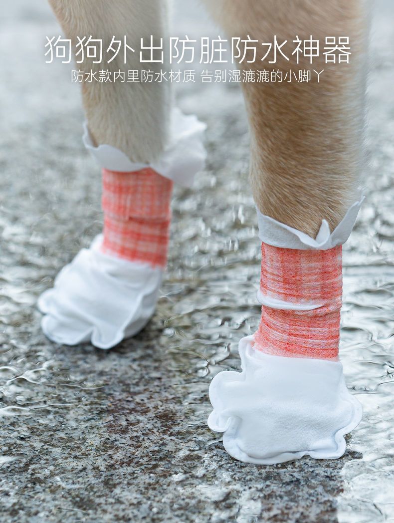 756b82ad-1114-43be-b0dc-45db6e24d895.jpe