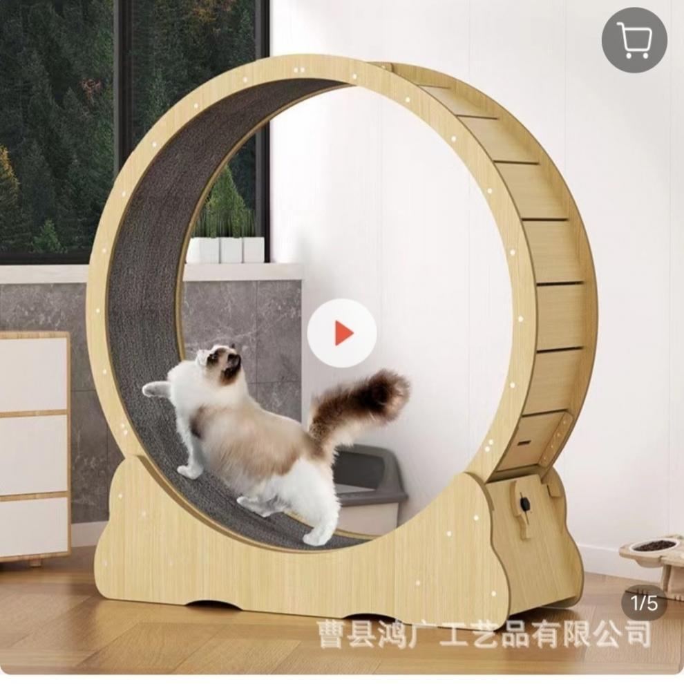 cf40626a-9c5f-4d6e-917e-1c6d1a26f7f0.jpe