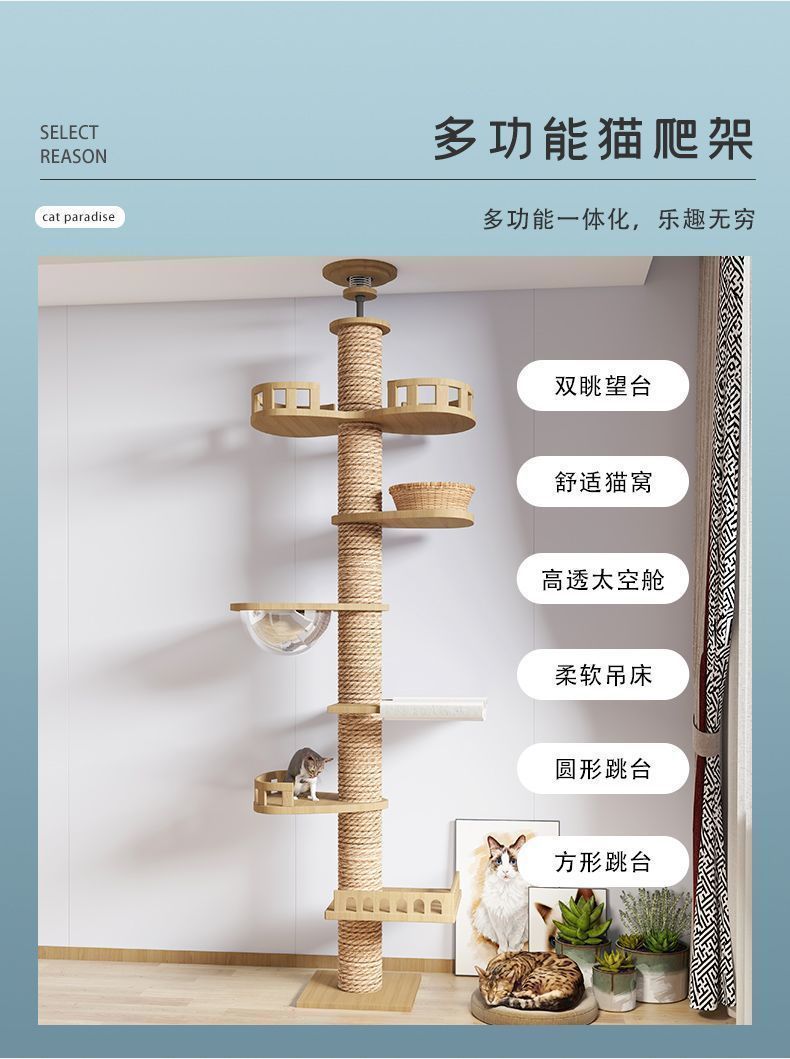 813c12aa-b8be-4ad0-8fbc-ea8035cc9c7e.jpe