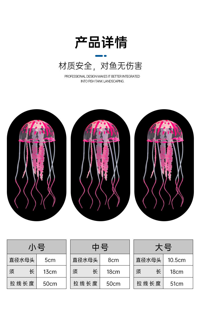 水母详情_05.jpg