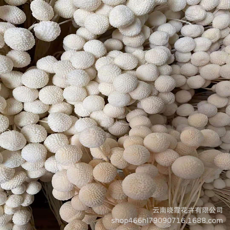 e783098b5a0f9d4948379ac28be7a4