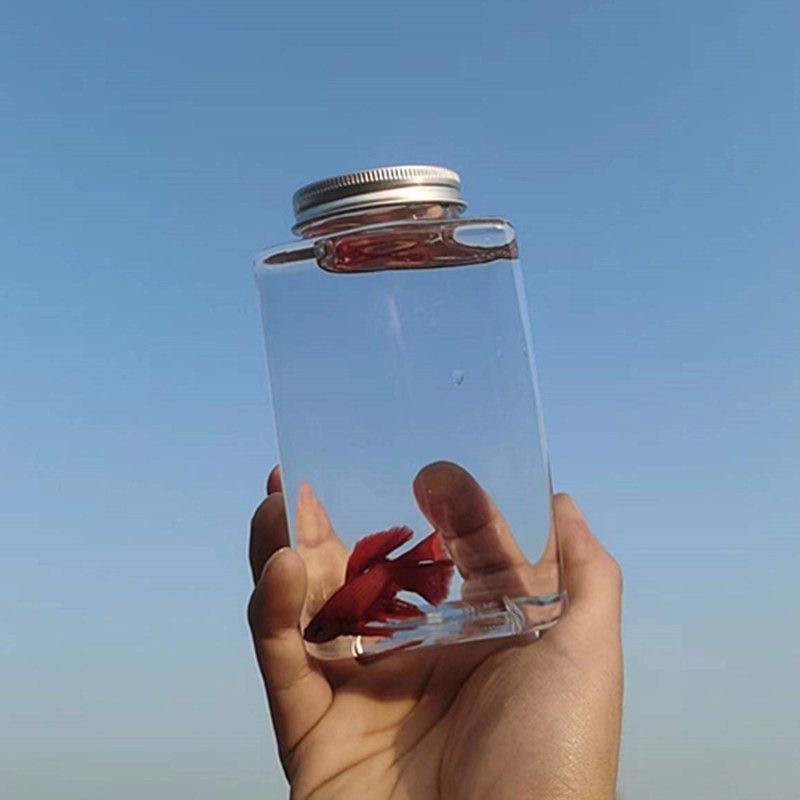 c1509723-076f-474b-aeae-3d48d2fced48.jpe