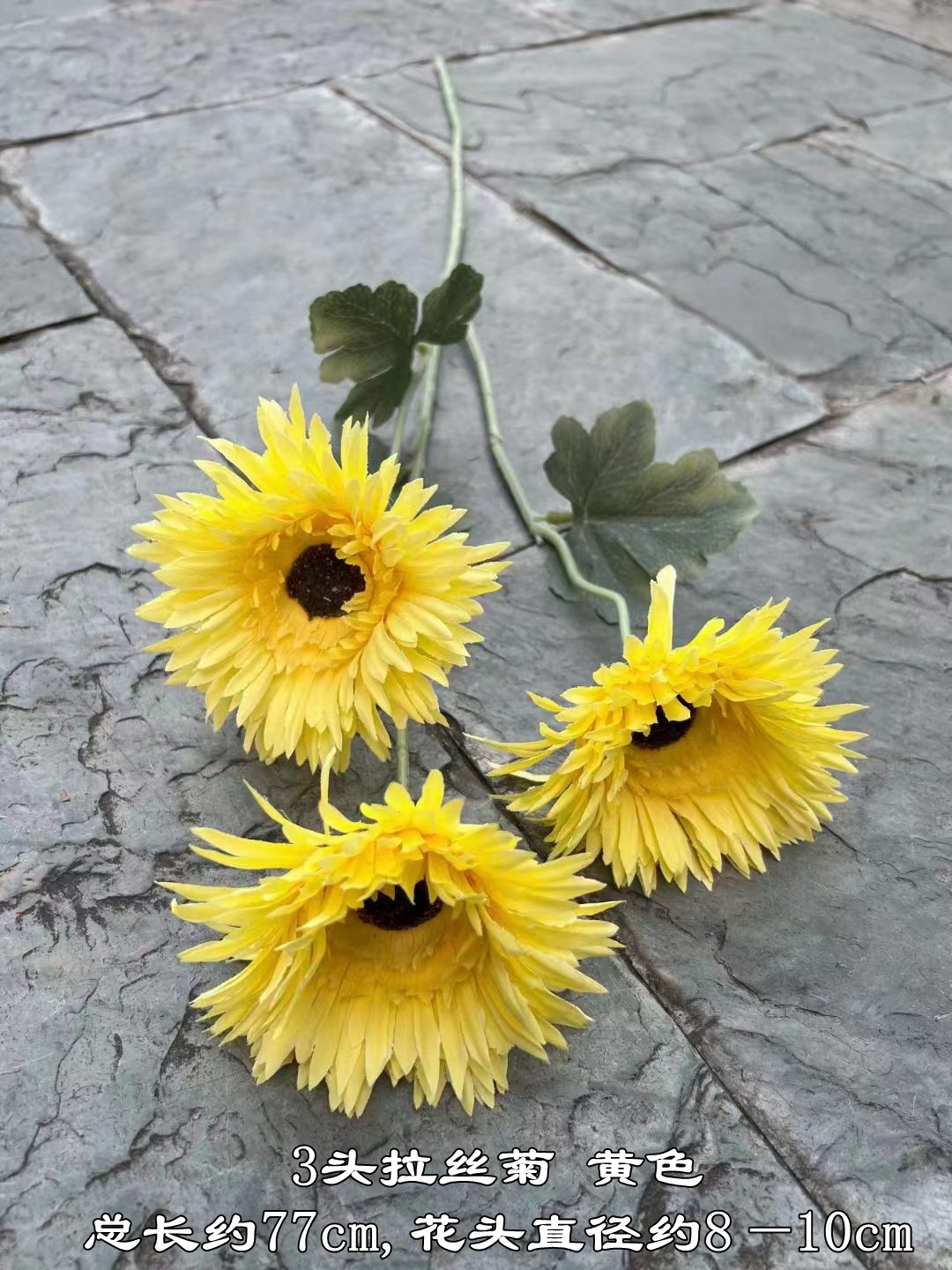 微信图片_20231024174401